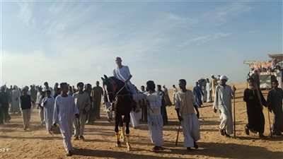 متوارث عن الأجداد.. بدء سباق الخيل بمركز إدفو بمشاركة كرم الملوك والباشا