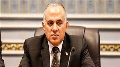 الوضع متجمد.. وزير الري عن سد النهضة: ليس هناك مسارات مباشرة مع أثيوبيا 
