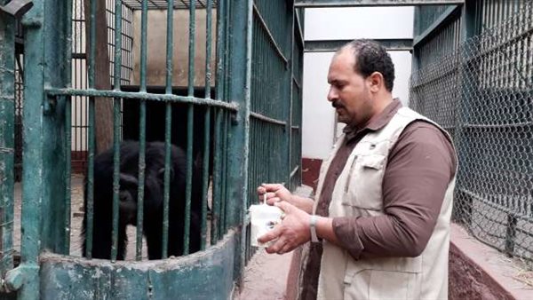 حديقة الحيوان