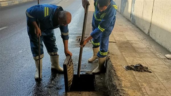 تطهير مطابق الإسكندرية