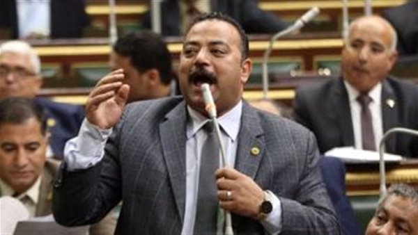 النائب علي عبد الونيس