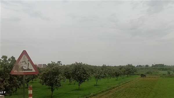 حالة الطقس بأسوان