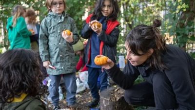 مدارس في الغابات.. الدول الغربية تلجأ إلى أساليب تعليمية جديدة بعد كورونا
