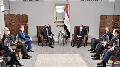 السيسي للمستشار النمساوي: نهر النيل قضية وجودية تستوجب تدخل المجتمع الدولي