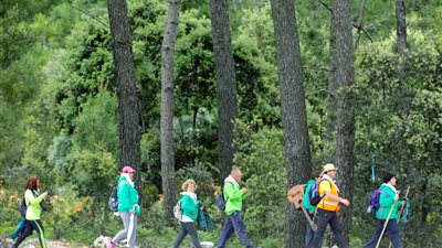 الدراسة في الغابة.. كيف لجأت دول العالم إلى حلول لحل أزمة الدراسة في ظل كورونا؟