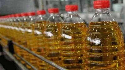 أستاذ زراعة: تجهيز جزء من توشكى للمحاصيل الزيتية يقلل معدل استيراد الزيوت