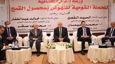 البحوث الزراعية: زيادة 3 ملايين طن قمح تعني اكتفاء ذاتيًا لإنتاج الخبز المدعم