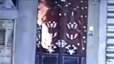 فيديو جديد يوثق لحظة إشعال شخص النار في شقيقته بسبب الميراث بالدقهلية