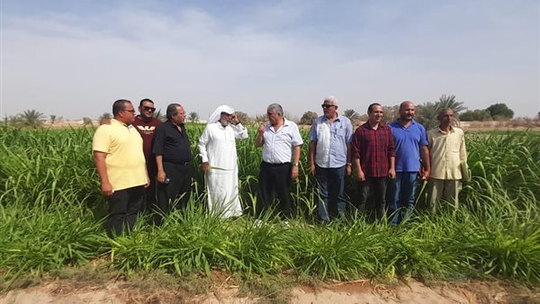 زيارة اكساد