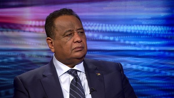 إبراهيم الغندور وزير