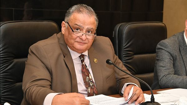 المستشار إبراهيم