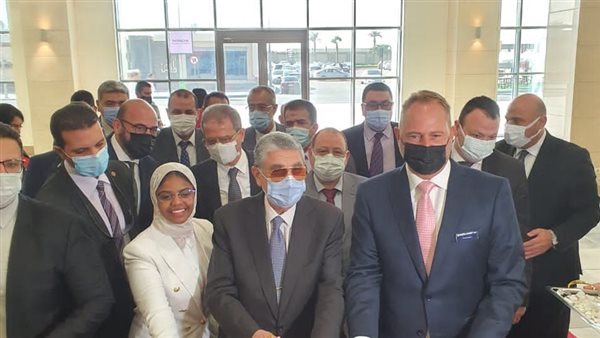 وزير الكهرباء