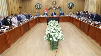 محافظ المنوفية: لجان تفتيشية لمراجعة صيانة أعمدة الإنارة استعدادا لموسم الشتاء