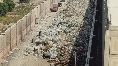 فتح شارع الثلاثيني الجديد بالجيزة بعد رفع 11 ألف طن مخلفات وقمامة