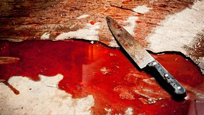 مقتل سيدة وطفلها في ظروف غامضة بالمطرية.. وفرقة بحث لضبط الجناة