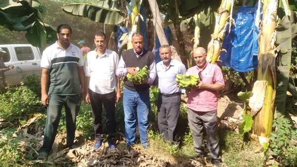 سحب عينات من محصول