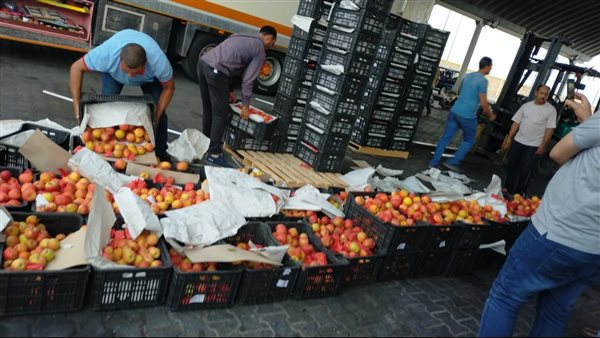 ضبط تهريب تفاح