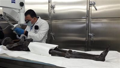 مدير معمل متحف الحضارة: يجري الآن ترميم عدد كبير من المومياوات