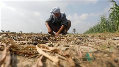 الري: مصر تعاني من الجفاف.. و95% من المشروعات هدفها التأقلم مع التغيرات المناخية