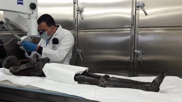 الدكتور مصطفى إسماعيل،