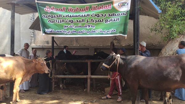 القافلة البيطرية