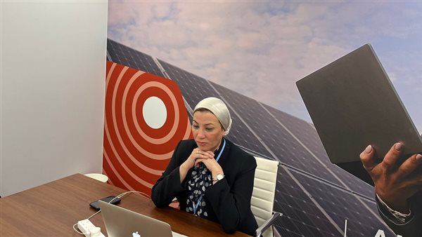 ياسمين فؤاد وزيرة