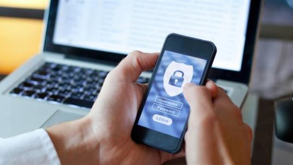  الاحتيال الإلكتروني