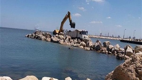 جهود الدولة في حماية