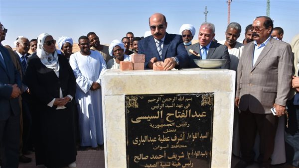 محافظ أسوان