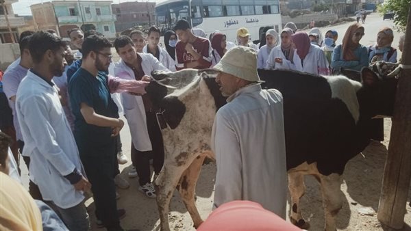 تحصين رؤوس الماشية