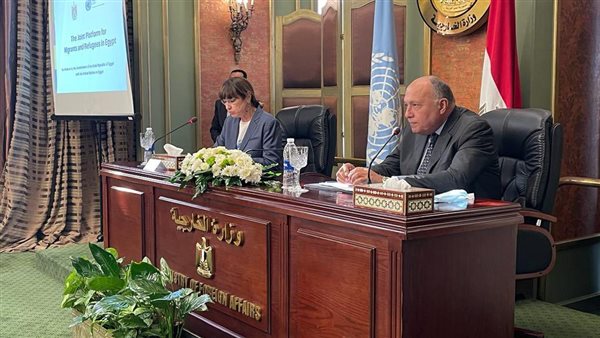 سامح شكري وزير الخارجية