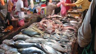 أسعار السمك اليوم الجمعة 12 يوليو 2024 في الأسواق