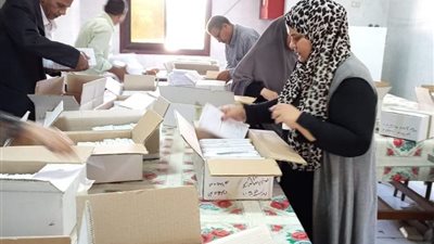 الأحد.. توزيع 143 ألف كارت ميزة على مستفيدي تكافل وكرامة بالدقهلية