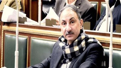 زراعة البرلمان: تطبيق معاش الفلاح يستهدف الفئات الأكثر احتياجًا من المزارعين