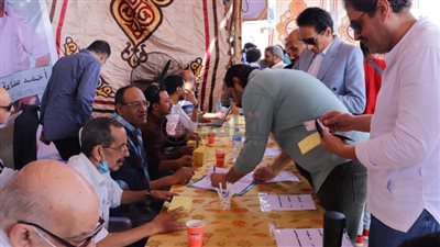 10 صور من انتخابات التجديد النصفي بنقابة المهن التمثيلية