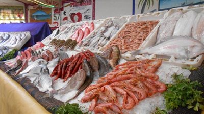 بأسعار من 5 لـ 30 جنيها.. ارتفاع الجمبري والبوري في الأسواق