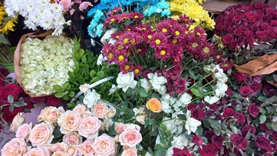 عيد الحب المصري.. بائعو الزهور بالإسكندرية: إقبال كبير على شراء الهدايا والوردة بـ7 جنيهات