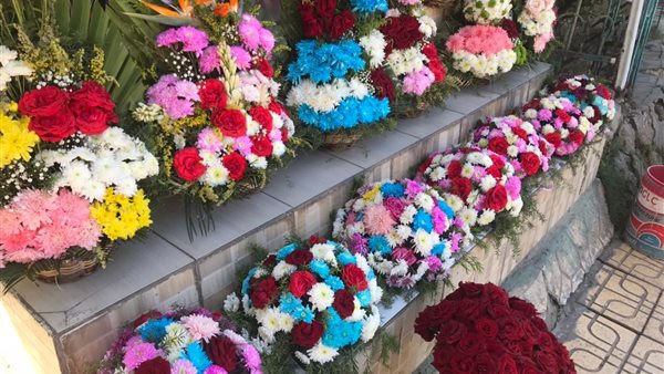 ورد الفلانتين