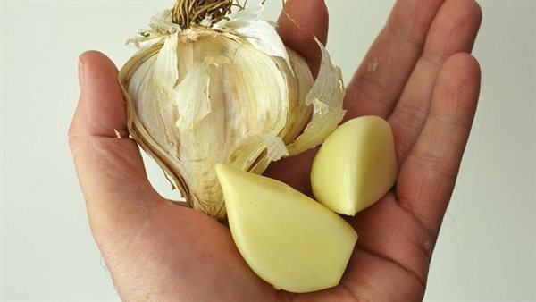 فوائد الثوم