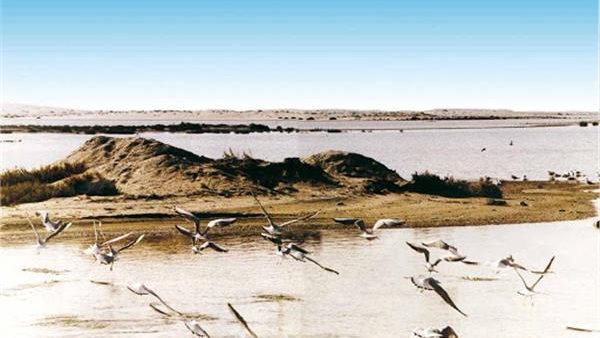 محمية الزرانيق شمال