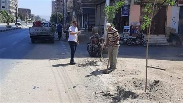 تشجير طرق ومداخل