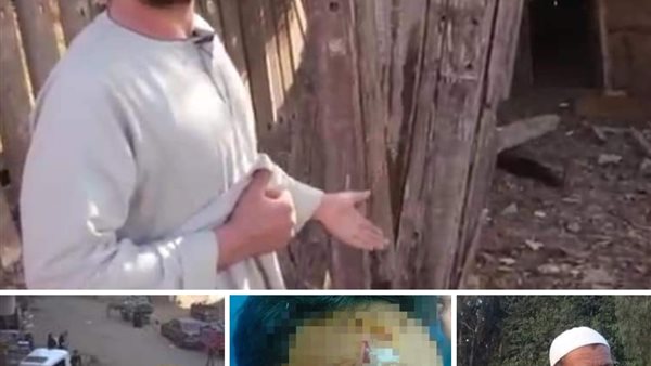 حوادث المنوفية 