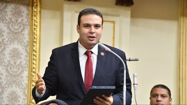 النائب عبد المنعم