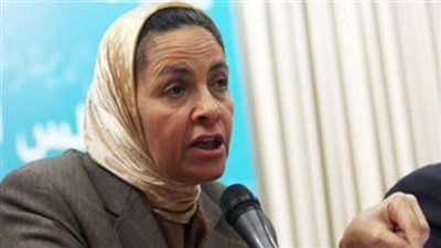 خبيرة اقتصادية: لا بد من دخول منتجين جدد للسوق المصري لتشجيع المنافسة ومواجهة الاحتكار 