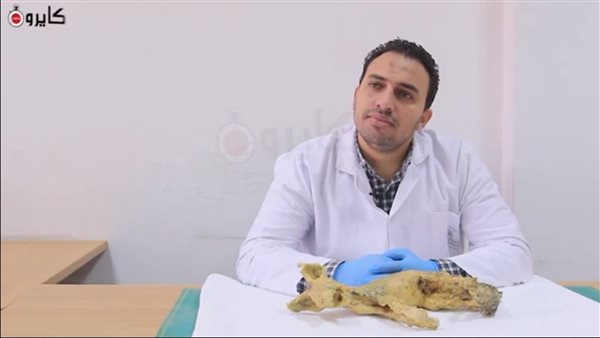 الدكتور مصطفى إسماعيل