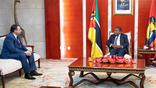 السفير المصري ورئيس