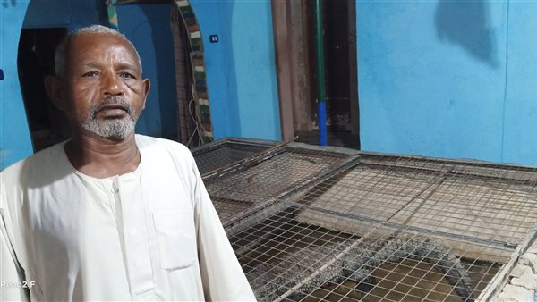 تربية التماسيح بقرية