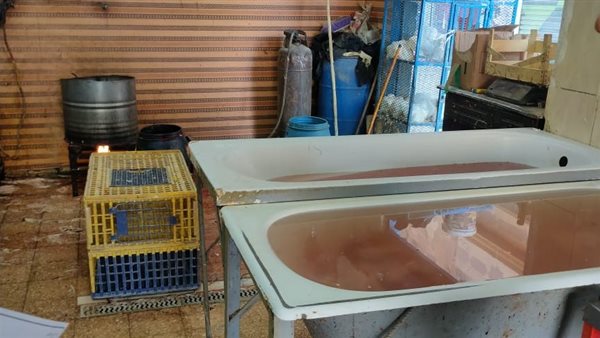 مخالفات غذائية بالشرقية