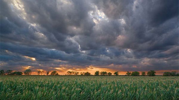 ارتفاع حرارة الأرض