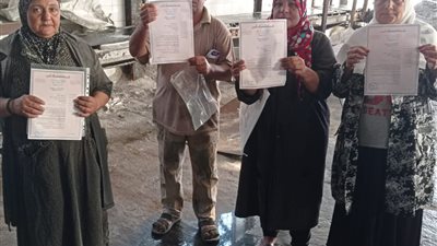 القوى العاملة بالإسكندرية: تسجيل 5741 عاملا جديدا ضمن العمالة غير المنتظمة